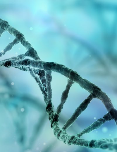dna strand